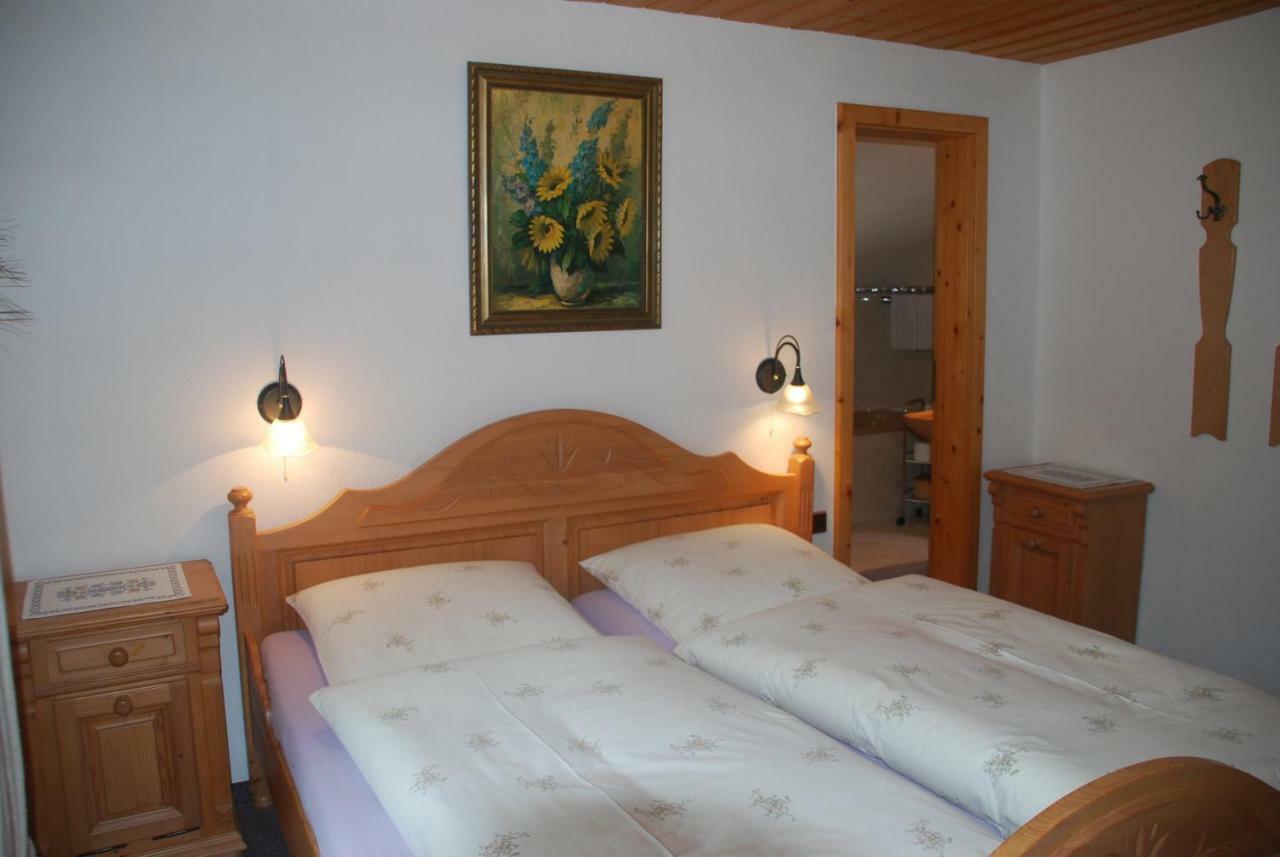Ferienwohnung Renate 그라이나우 외부 사진